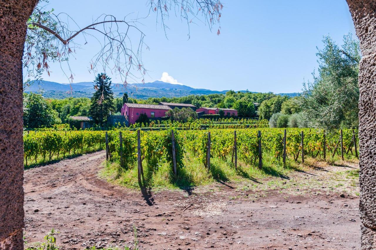 Terrazze Dell'Etna - Country Rooms And Apartments Рандаццо Экстерьер фото