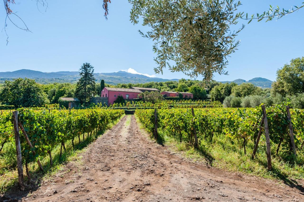 Terrazze Dell'Etna - Country Rooms And Apartments Рандаццо Экстерьер фото